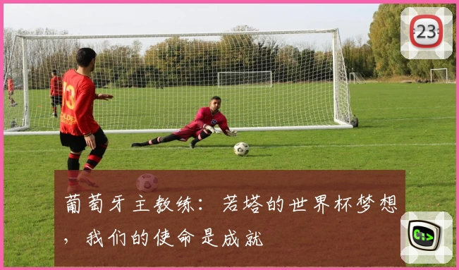 葡萄牙主教练:若塔的世界杯梦想,我们的使命是成就