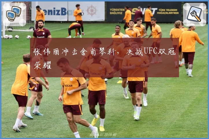 张伟丽冲击舍甫琴科，决战UFC双冠荣耀